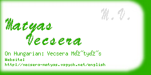 matyas vecsera business card